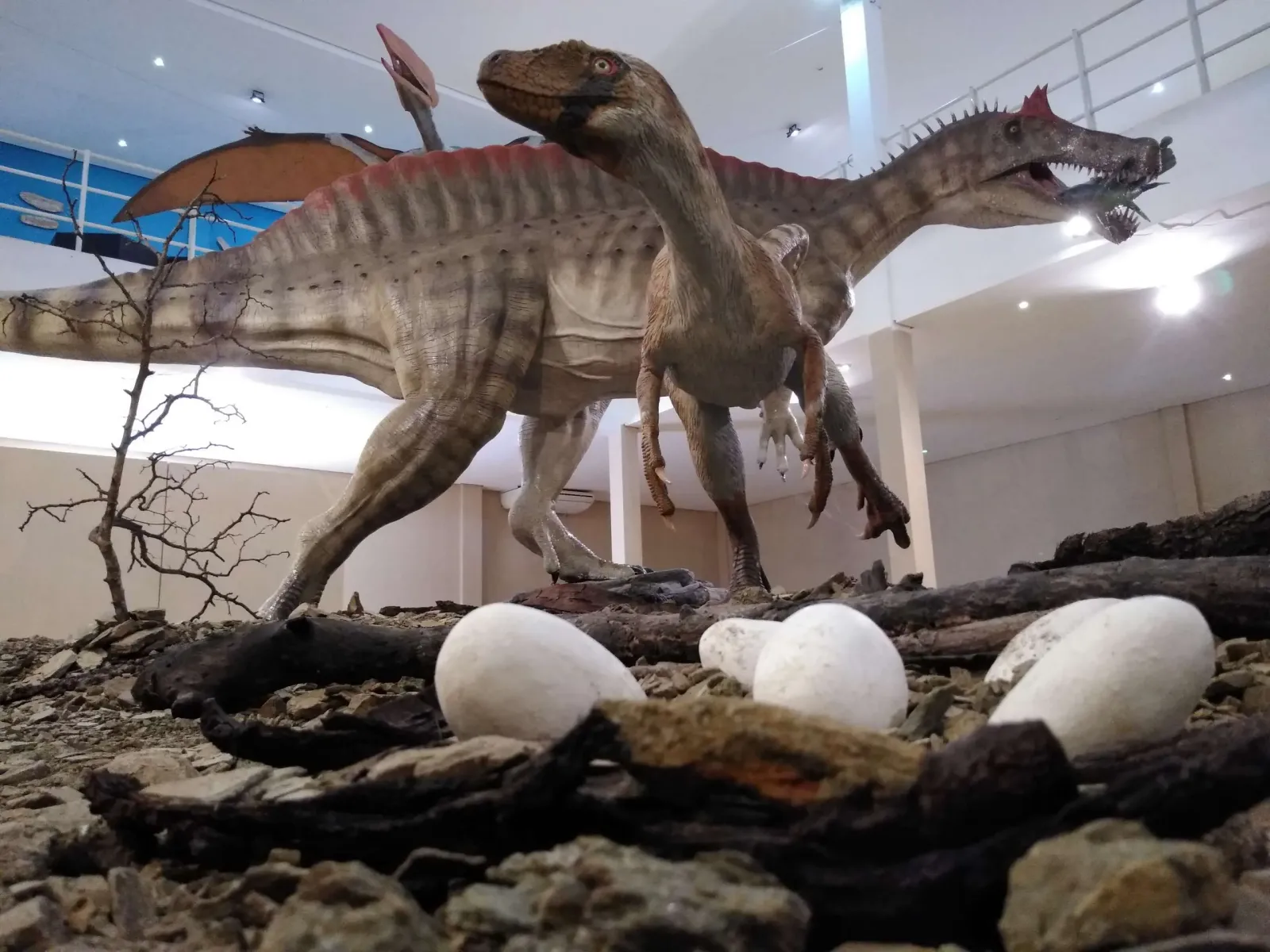 Museu de Paleontologia
